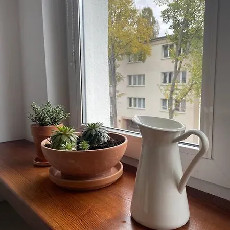 Apartament Cozy, Bright, Comfy Studio Next To The Old Town. *