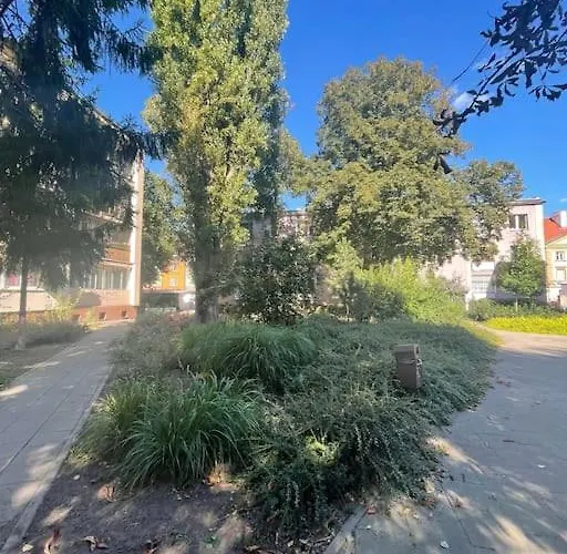 Lejlighed Cozy, Bright, Comfy Studio Next To The Old Town.