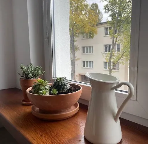 Lejlighed Cozy, Bright, Comfy Studio Next To The Old Town. *